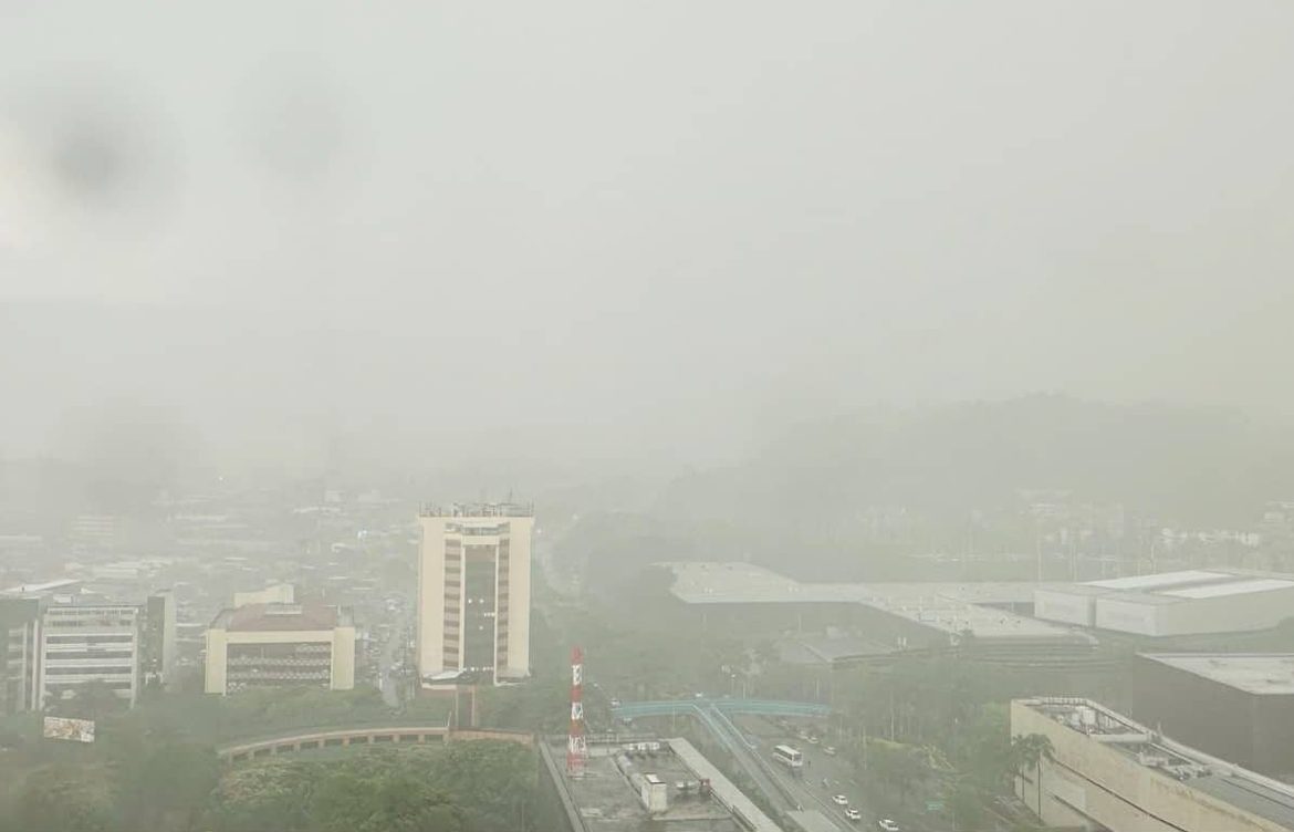Lluvias en Medellín dejaron cierres y árboles caídos